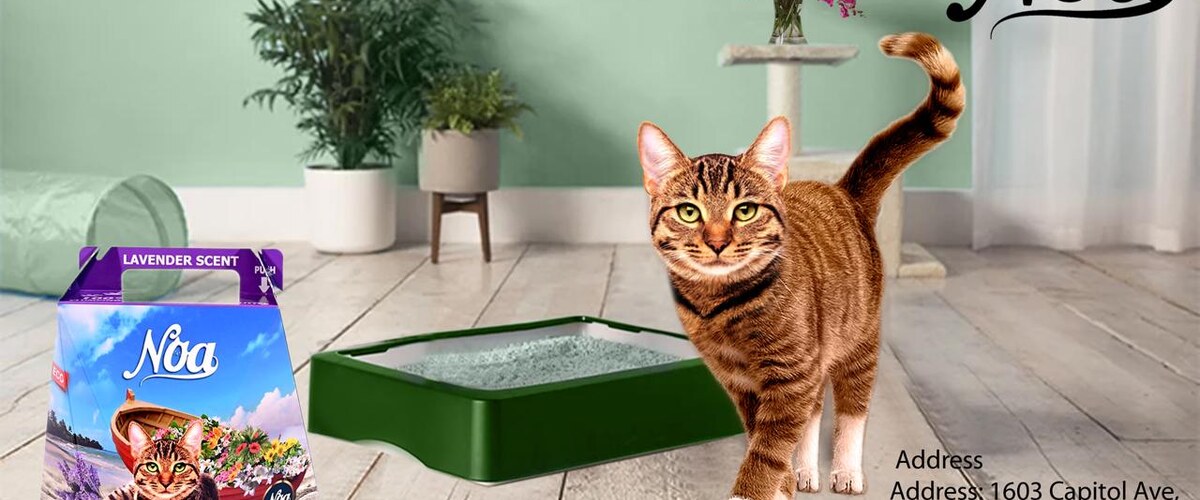 Univers NOA Cat Litter — chat tigré et boîte de litière dans un intérieur moderne
